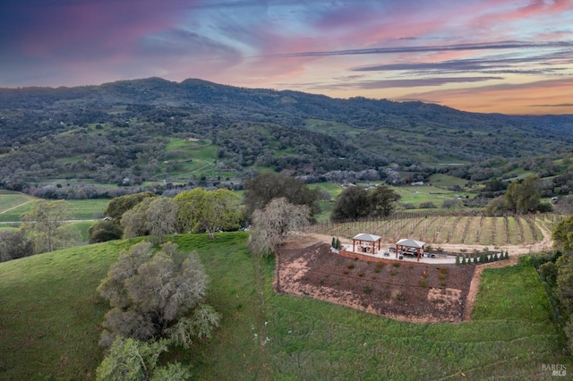 bird's eye view featuring a rural view and a mountain view