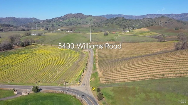 drone / aerial view with a rural view and a mountain view