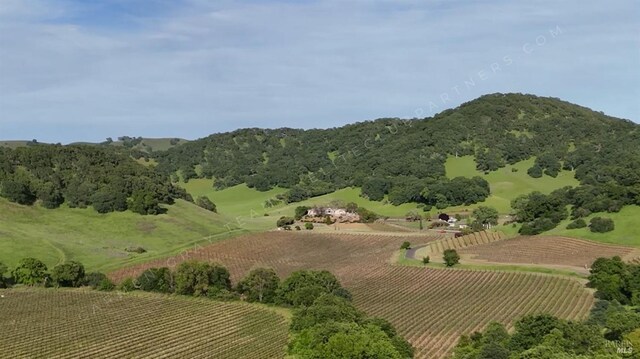 bird's eye view featuring a mountain view and a rural view