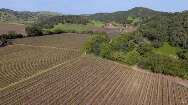 bird's eye view featuring a mountain view and a rural view