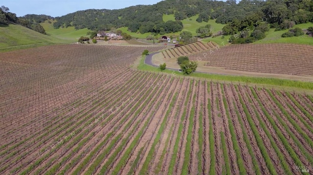 bird's eye view featuring a rural view