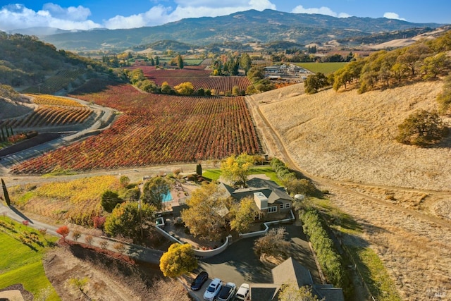 birds eye view of property with a rural view and a mountain view