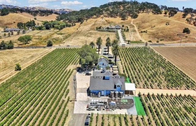 aerial view with a rural view