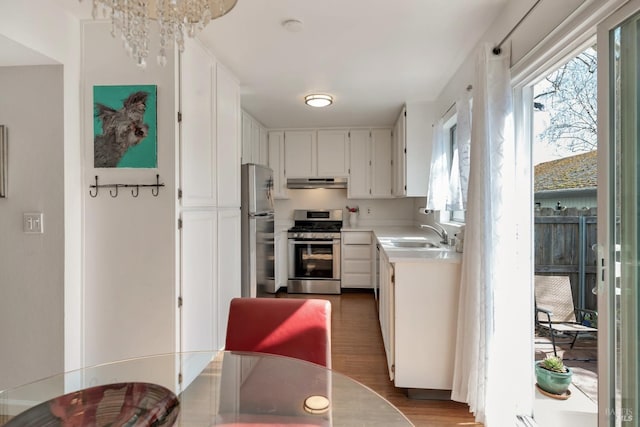 kitchen featuring a sink, appliances with stainless steel finishes, plenty of natural light, and under cabinet range hood