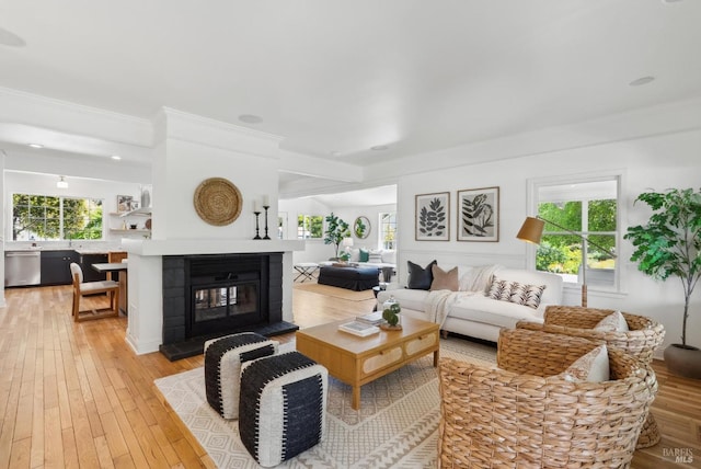 1030 Thompson Ln, Petaluma, CA 94952 - living room with light wood-style flooring, crown molding, and a multi sided fireplace