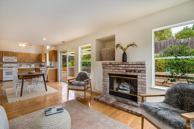 living area featuring light wood finished floors, a fireplace, and a wealth of natural light