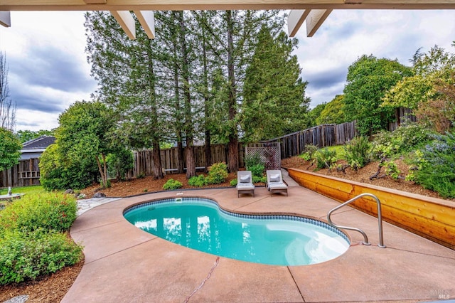 view of pool featuring a patio area, a fenced in pool, and a fenced backyard