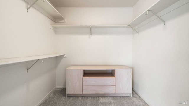 walk in closet featuring light colored carpet
