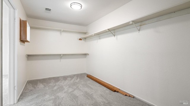 walk in closet featuring visible vents and carpet floors