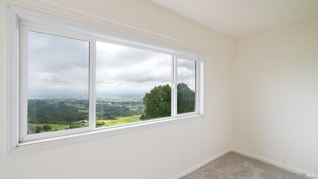 empty room featuring plenty of natural light and carpet floors