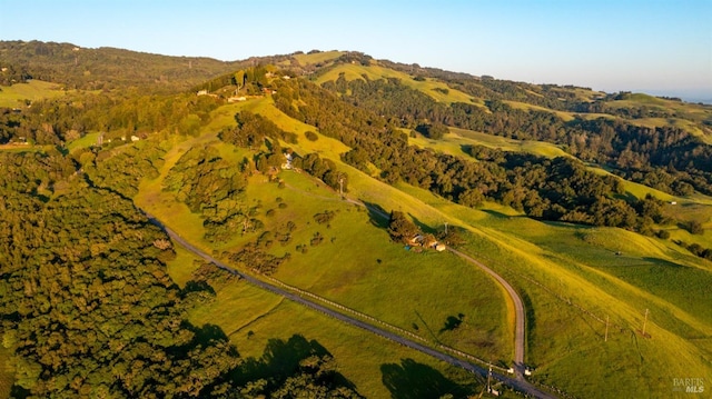 drone / aerial view with a mountain view