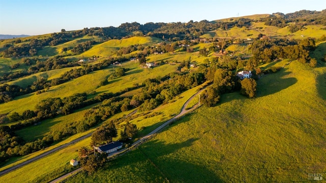 drone / aerial view with a mountain view