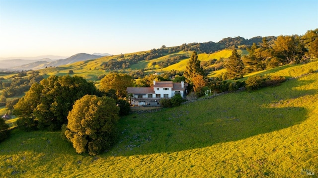 aerial view