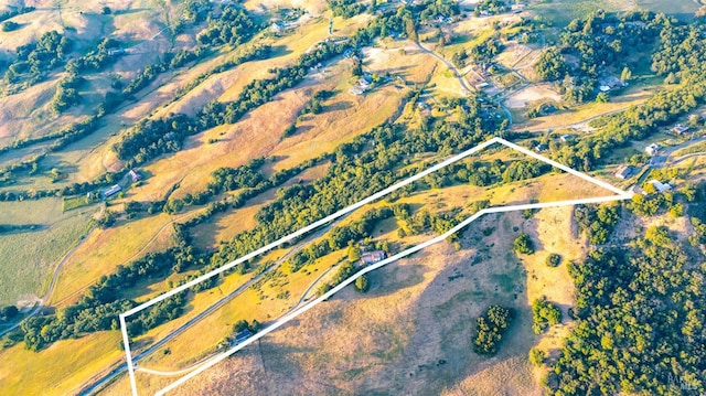 5750 Lichau Rd, Penngrove, CA 94951 - aerial view of property's location with property parcel outlined