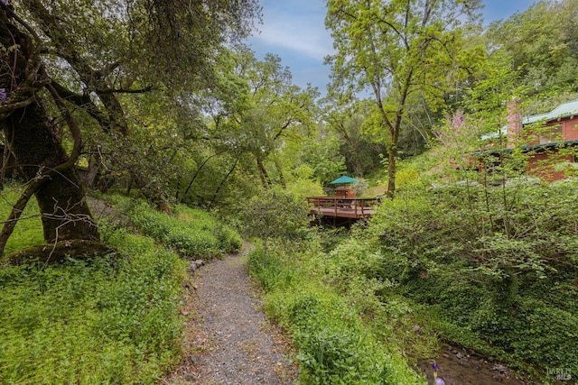view of home's community featuring a wooded view