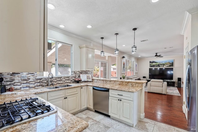1006 Armsby Way, Suisun City, CA 94585 - kitchen featuring appliances with stainless steel finishes, a sink, a peninsula, open floor plan, and ornamental molding