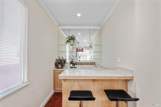 1006 Armsby Way, Suisun City, CA 94585 - indoor wet bar featuring ornamental molding, dark wood-type flooring, and baseboards