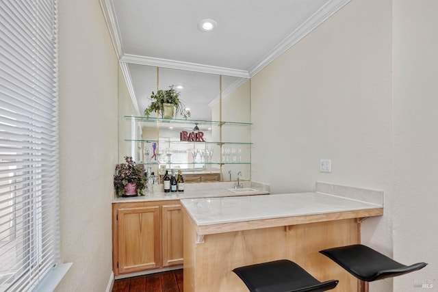 1006 Armsby Way, Suisun City, CA 94585 - indoor wet bar with crown molding and dark wood-type flooring