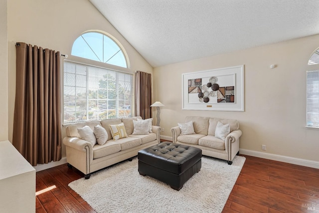 1006 Armsby Way, Suisun City, CA 94585 - living room featuring dark wood-style flooring, a textured ceiling, baseboards, and high vaulted ceiling
