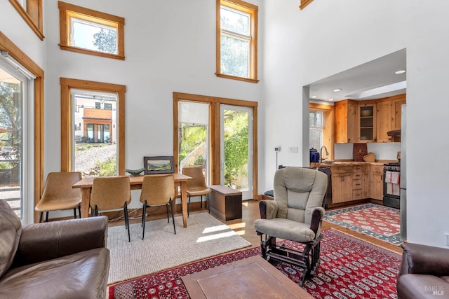 living room with wood finished floors and a high ceiling
