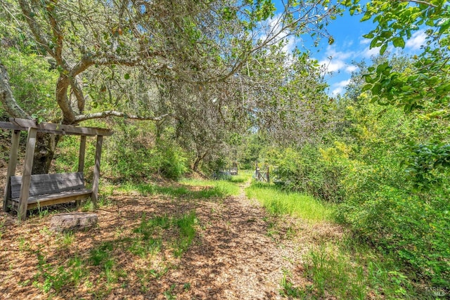 view of yard featuring a forest view