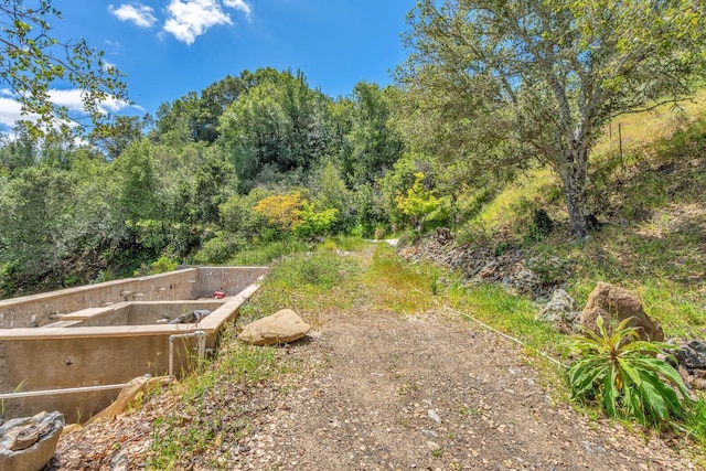 view of yard featuring a forest view