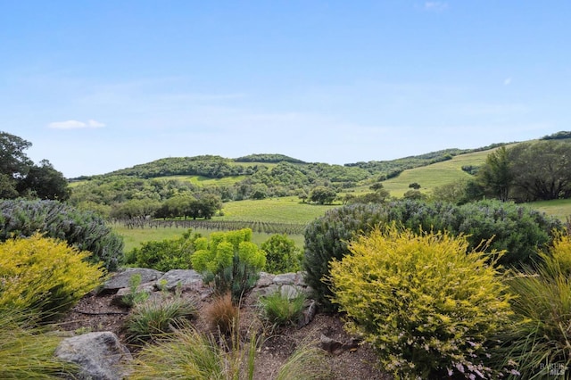 view of mountain feature with a rural view