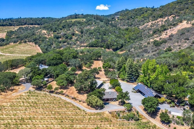 drone / aerial view with a forest view, a mountain view, and a rural view
