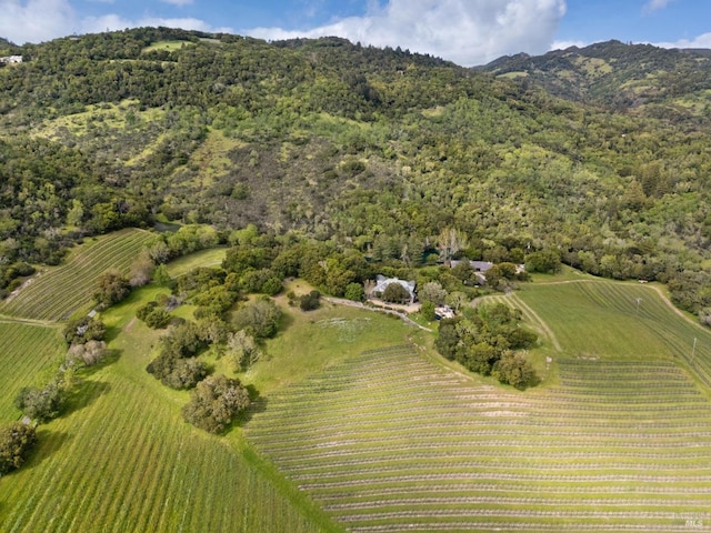birds eye view of property featuring a mountain view and a rural view