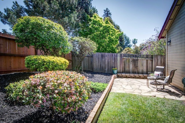 view of yard with a patio area and a fenced backyard