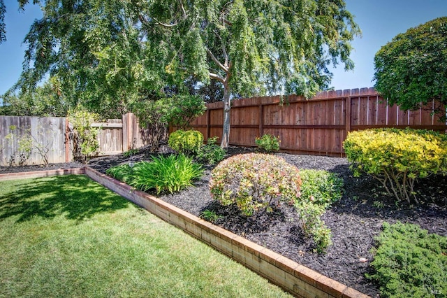 view of yard featuring a fenced backyard