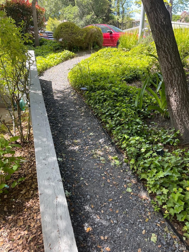 105 Virginia Ave Unit 1, Sebastopol, CA 95472 - view of yard