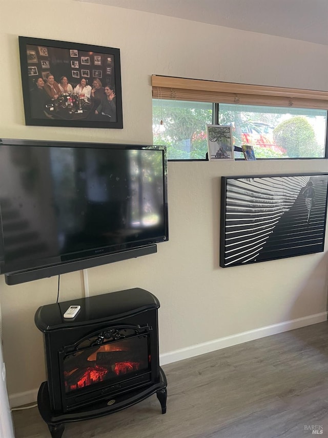105 Virginia Ave Unit 1, Sebastopol, CA 95472 - details with baseboards, a wood stove, and wood finished floors