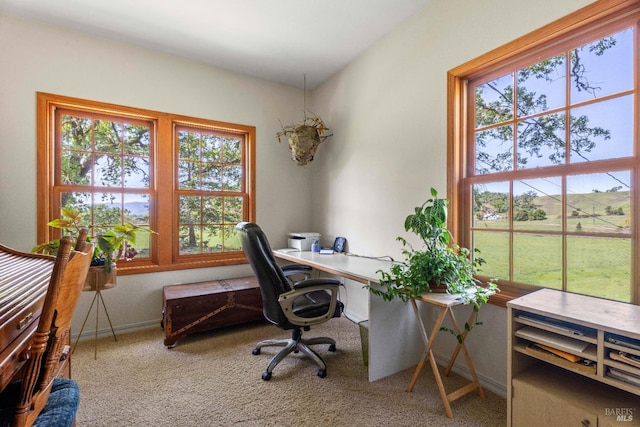 carpeted home office with baseboards