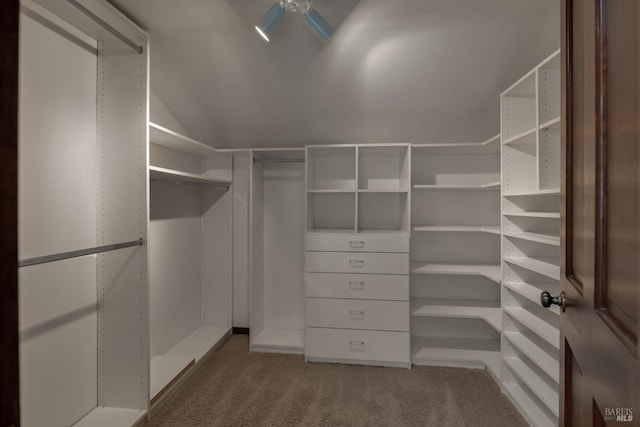 walk in closet featuring vaulted ceiling and carpet