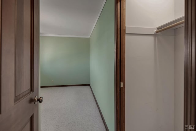 walk in closet with carpet flooring