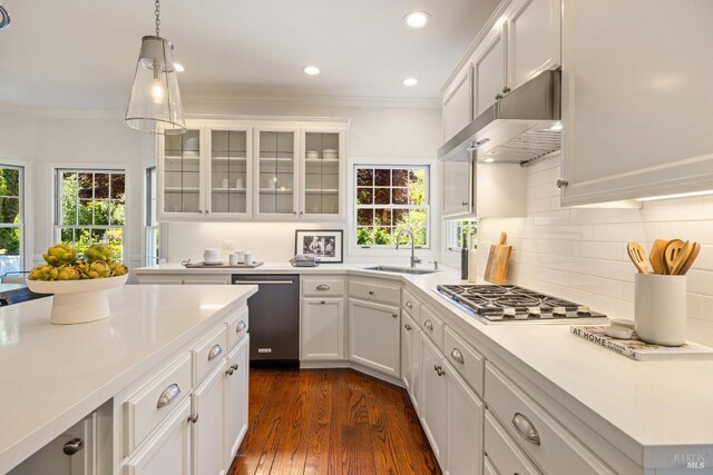 kitchen with crown molding, under cabinet range hood, stainless steel appliances, and plenty of natural light