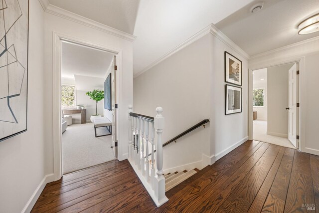 hallway with plenty of natural light, an upstairs landing, and dark wood finished floors