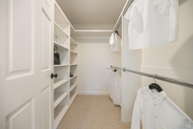 spacious closet with light colored carpet