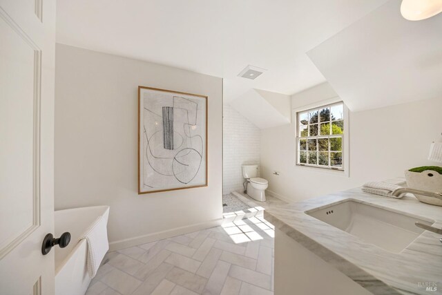 full bathroom with toilet, walk in shower, and a sink