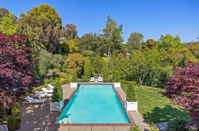 pool with a lawn, a wooded view, and a patio