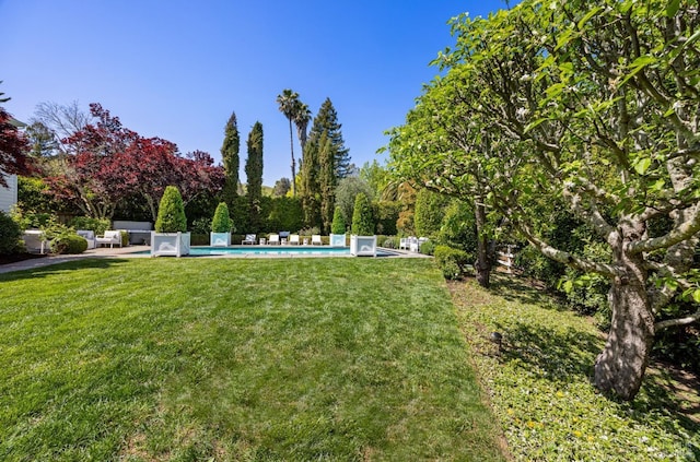 view of yard with an outdoor pool and a patio