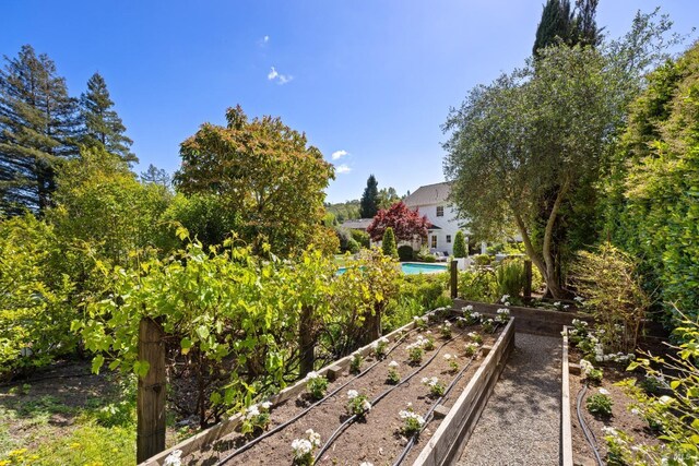 8 Greensburgh Ln, San Anselmo, CA 94960 - back of house featuring a chimney, a yard, a patio area, and a shingled roof
