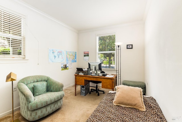 office space with light carpet, baseboards, and crown molding