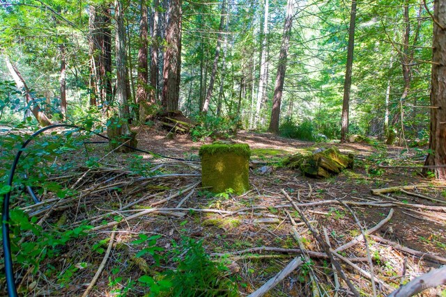 40050 Wilderness Lodge Rd, Branscomb, CA 95417