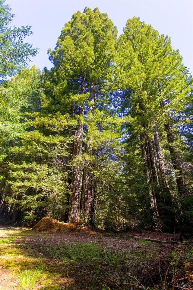 40050 Wilderness Lodge Rd, Branscomb, CA 95417