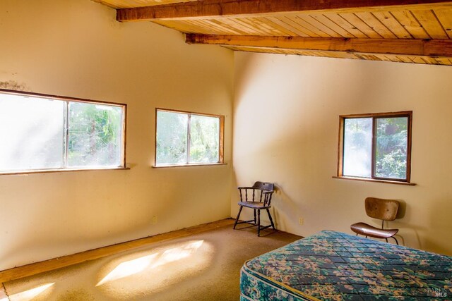 40050 Wilderness Lodge Rd, Branscomb, CA 95417