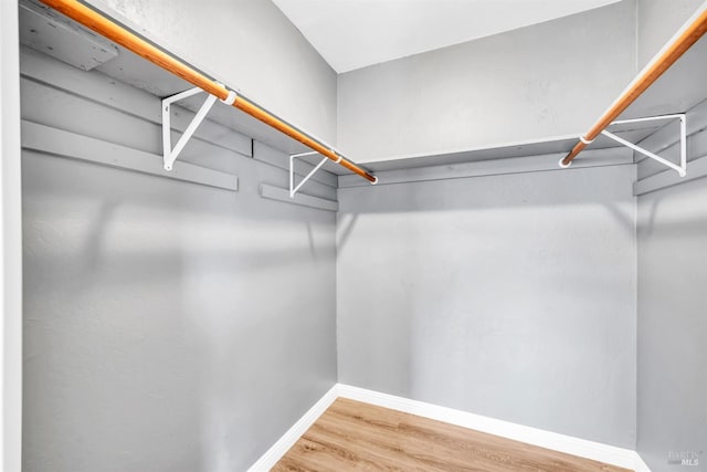 walk in closet with wood finished floors