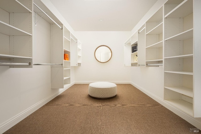 656 Goodhill Rd, Kentfield, CA 94904 - spacious closet featuring carpet floors