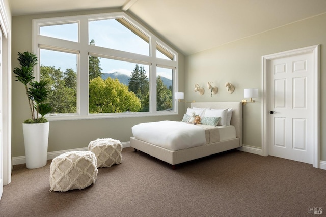 656 Goodhill Rd, Kentfield, CA 94904 - bedroom with carpet floors, lofted ceiling, and baseboards